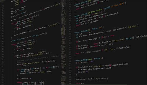 Programmer